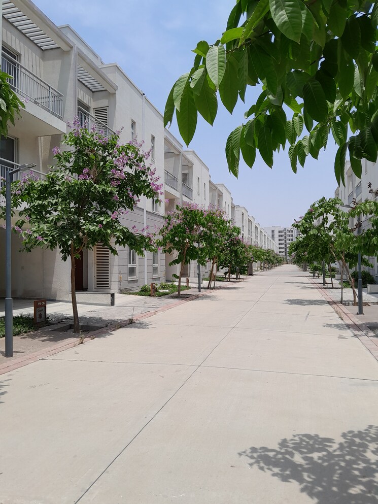 Exterior View, godrej-golf-links-evoke 4 Bedroom 2759 Sq.Ft. Villa In Sector 27 Yamuna Expressway Greater Noida 9012564