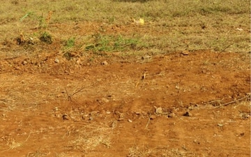Land For Sale in Kannampalayam