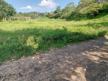 Plot Area in  Land at Pallikkunnu – for Sale