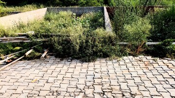 Plot Area in  Plot at Ashok Vihar – for Sale