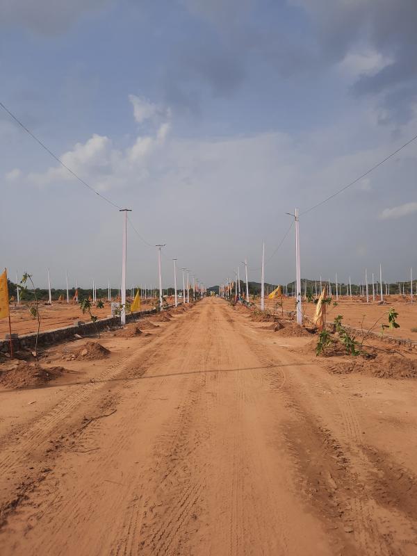 Plot For Sale in The Palm Residency