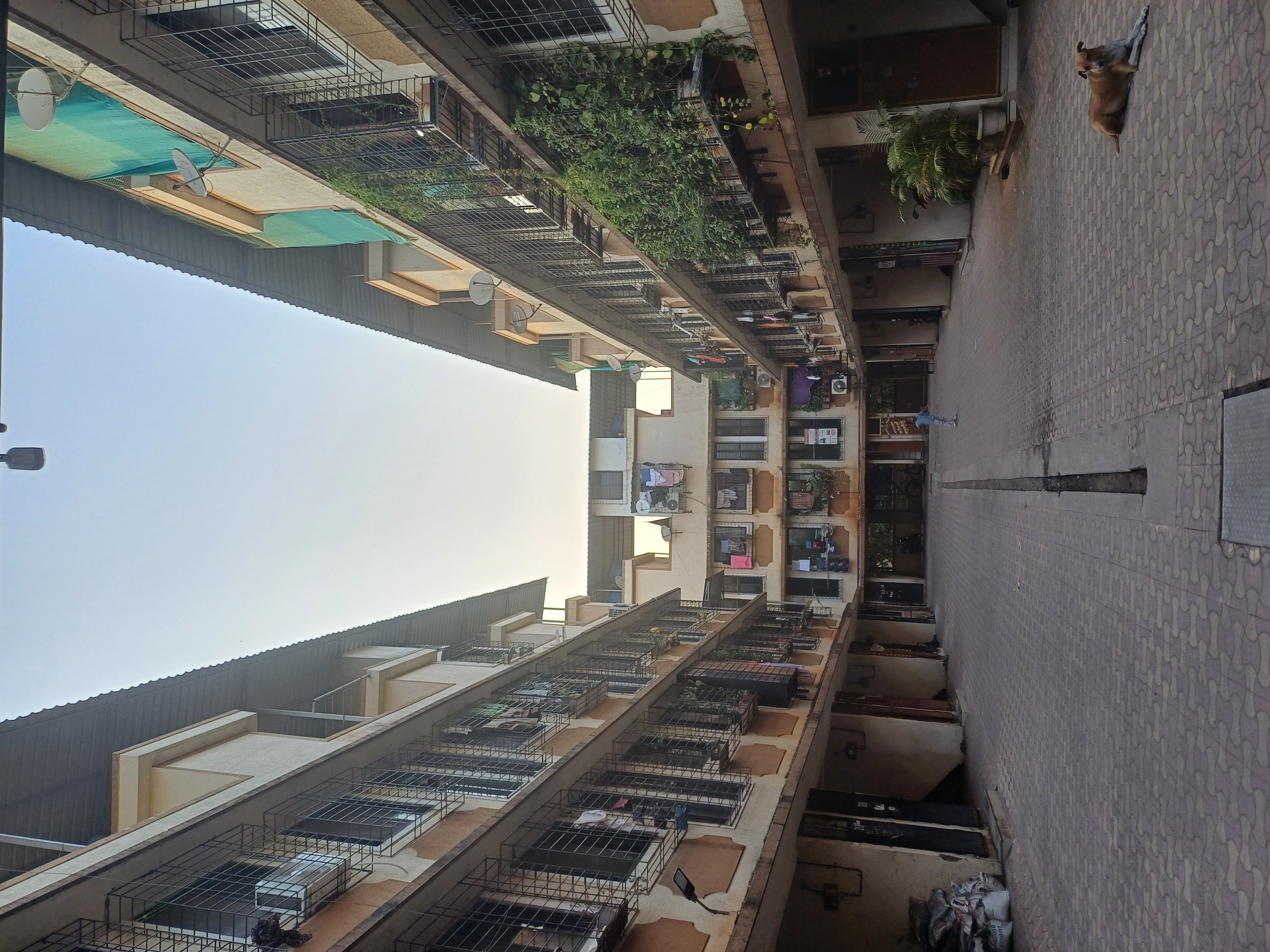 1 BHK Apartment For Rent in Ss1 Apartment Duplex  For