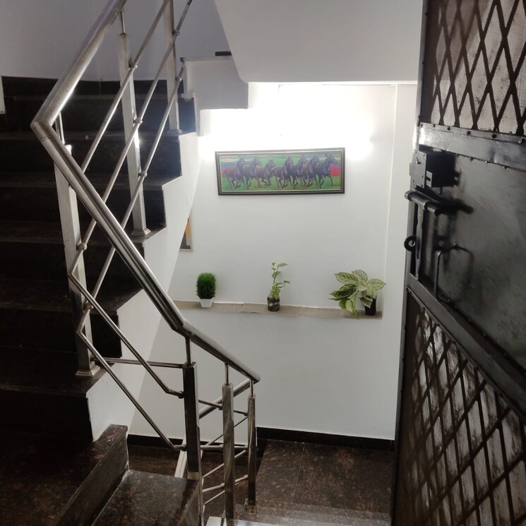undefined, malviya nagar 3.5 Bedroom 900 Sq.Ft. Builder Floor In Malviya Nagar Delhi 9012877