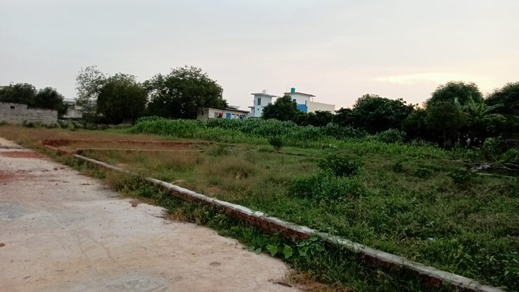 undefined, dadri  90 Sq.Yd. Plot In Dadri Greater Noida 9012991