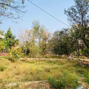  Plot For Sale in Sanand Nalsarovar Road