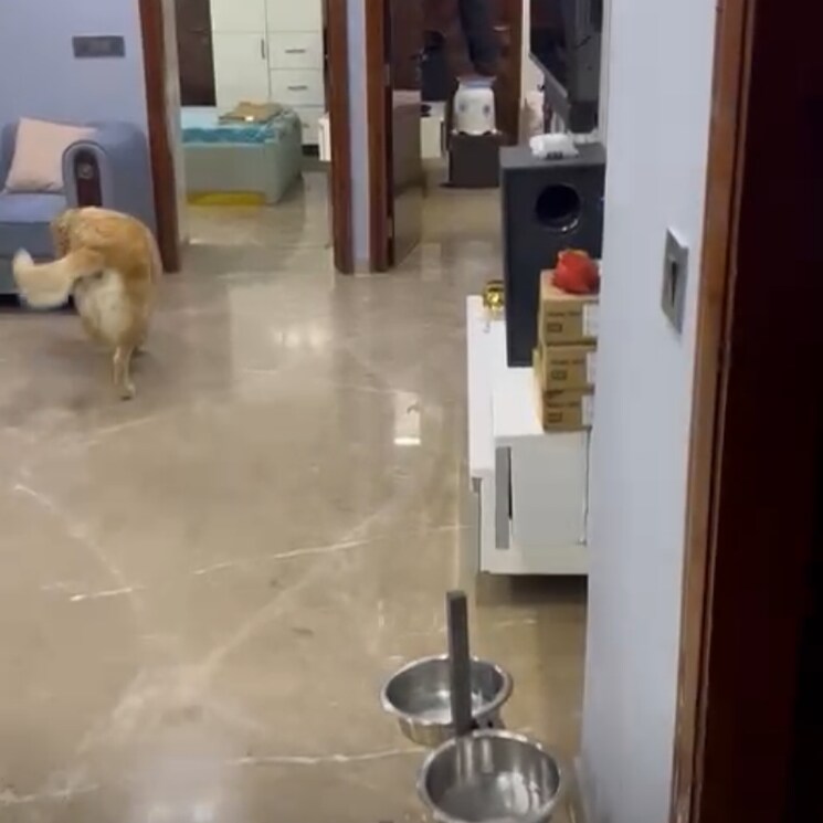 Bathroom, rohini sector 22 3.5 Bedroom 1000 Sq.Ft. Builder Floor In Rohini Sector 22 Delhi 9013240