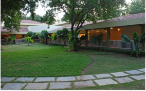  Plot For Sale in Sanand