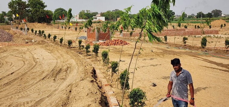 Garden, jewar  120 Sq.Yd. Plot In Jewar Greater Noida 9013544