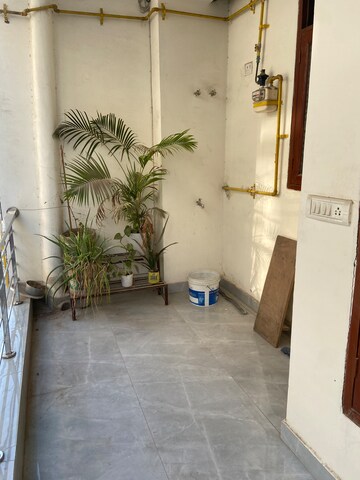  3 BHK Builder Floor at Chattarpur – for Rent