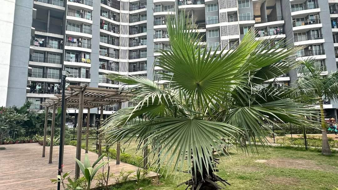 2 BHK 1017 Sq.Ft. Apartment in Tanvi Eminence