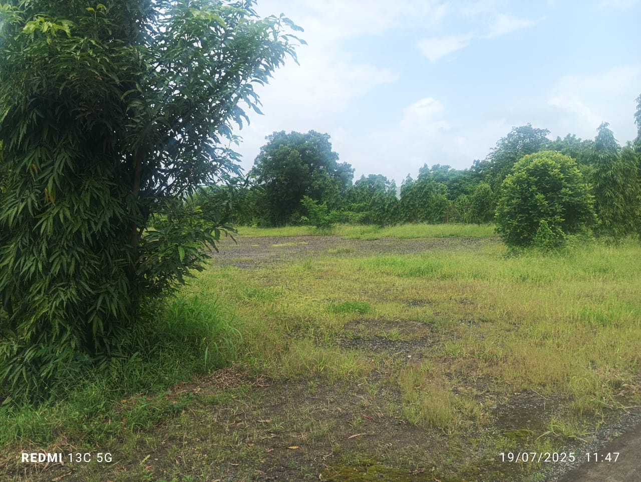 Land For Sale in Neo City