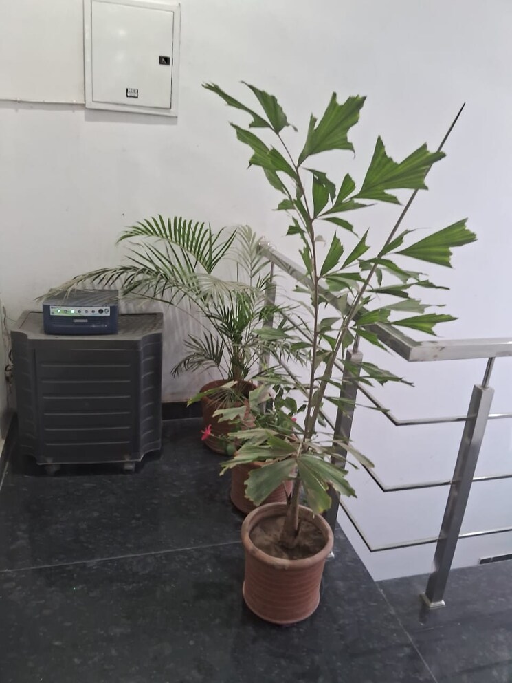 Exterior View, aerocity 2 Bedroom 1200 Sq.Ft. Builder Floor In Aerocity Mohali 9014154