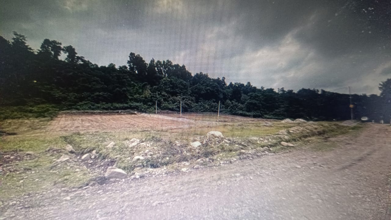 Plot For Sale in Dunga