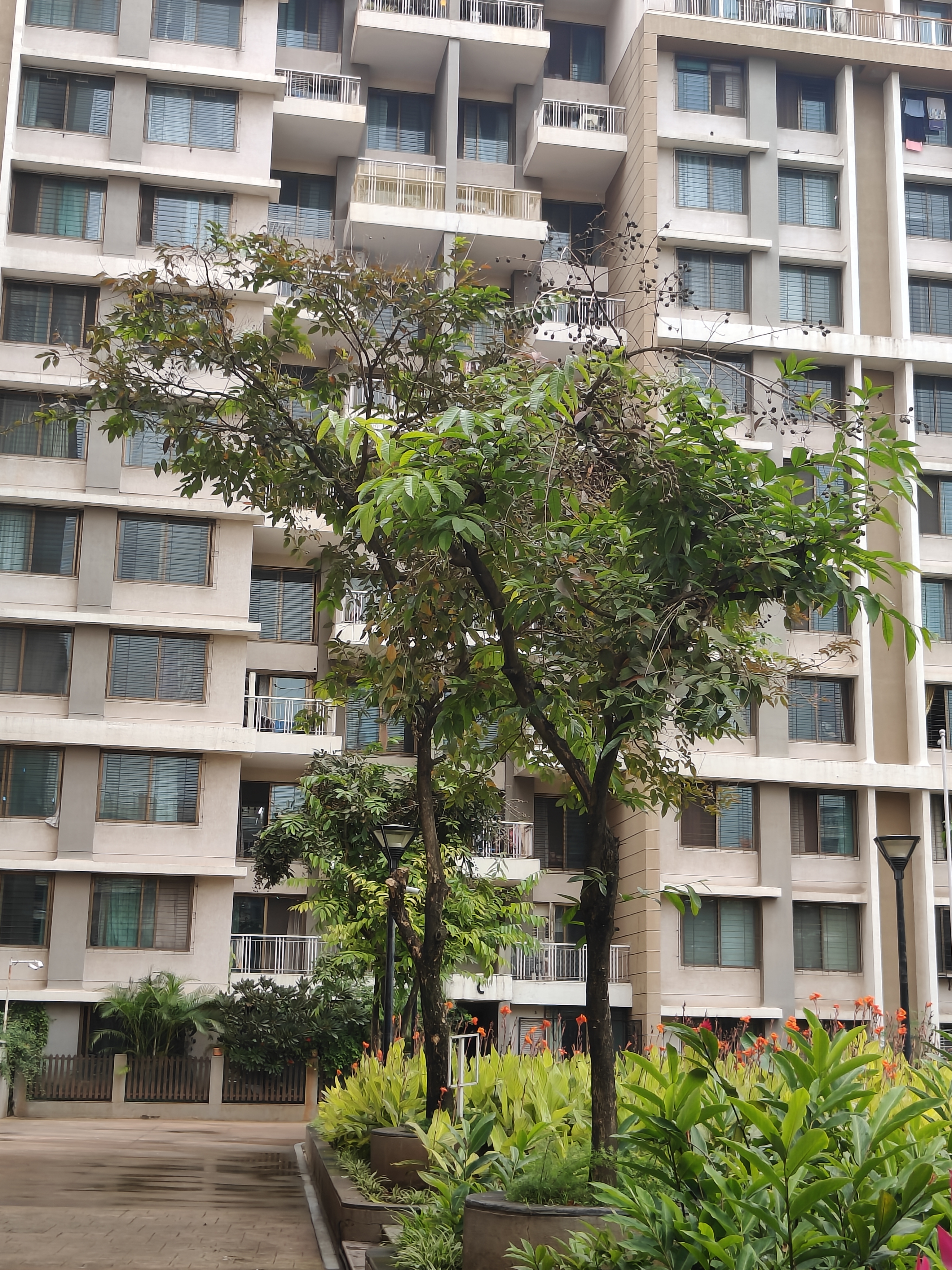 3 BHK Apartment For Rent in Park Street