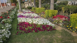 3 BHK Apartment – Garden View at Raj Nagar Extension - for Sale