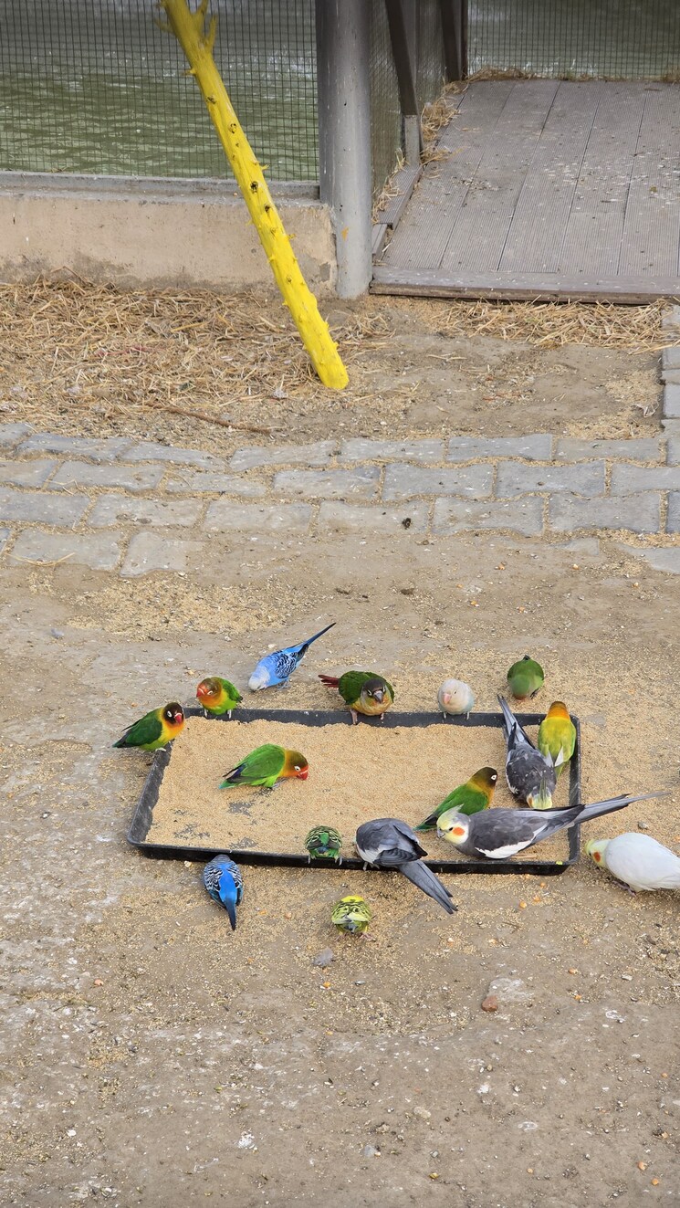 Map Location, raj nagar extension 4 Bedroom 2165 Sq.Ft. Apartment In Raj Nagar Extension Ghaziabad 9014507