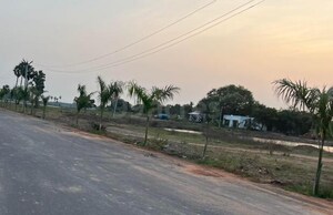 Plot Area in  Plot at Lankelapalem – for Sale