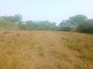 Plot Area in  Plot at Urban Tree Sapphire Garden, Thaiyur – for Sale
