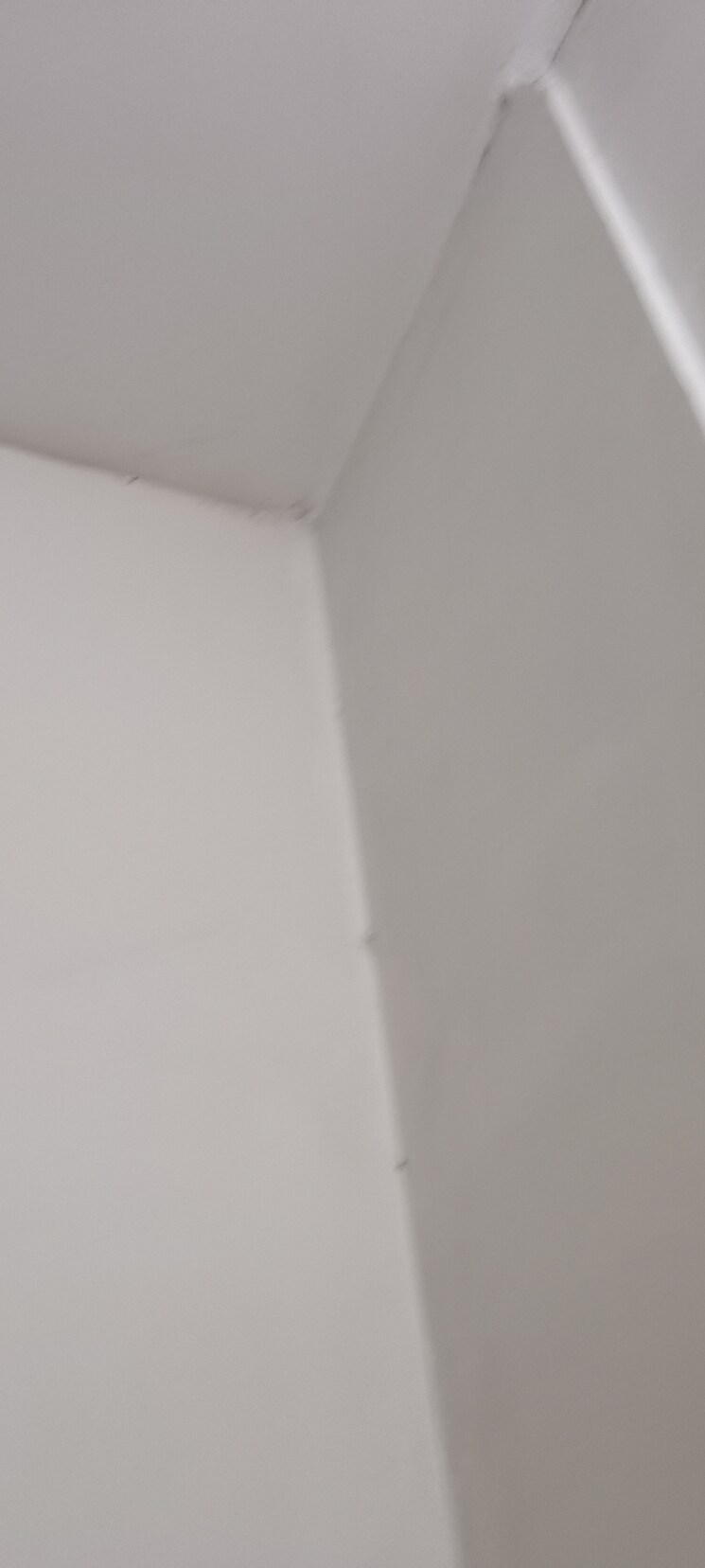 undefined, alphacorp-gurgaon-one-84 1 RK 200 Sq.Ft. Apartment In Sector 84 Gurgaon 9014866