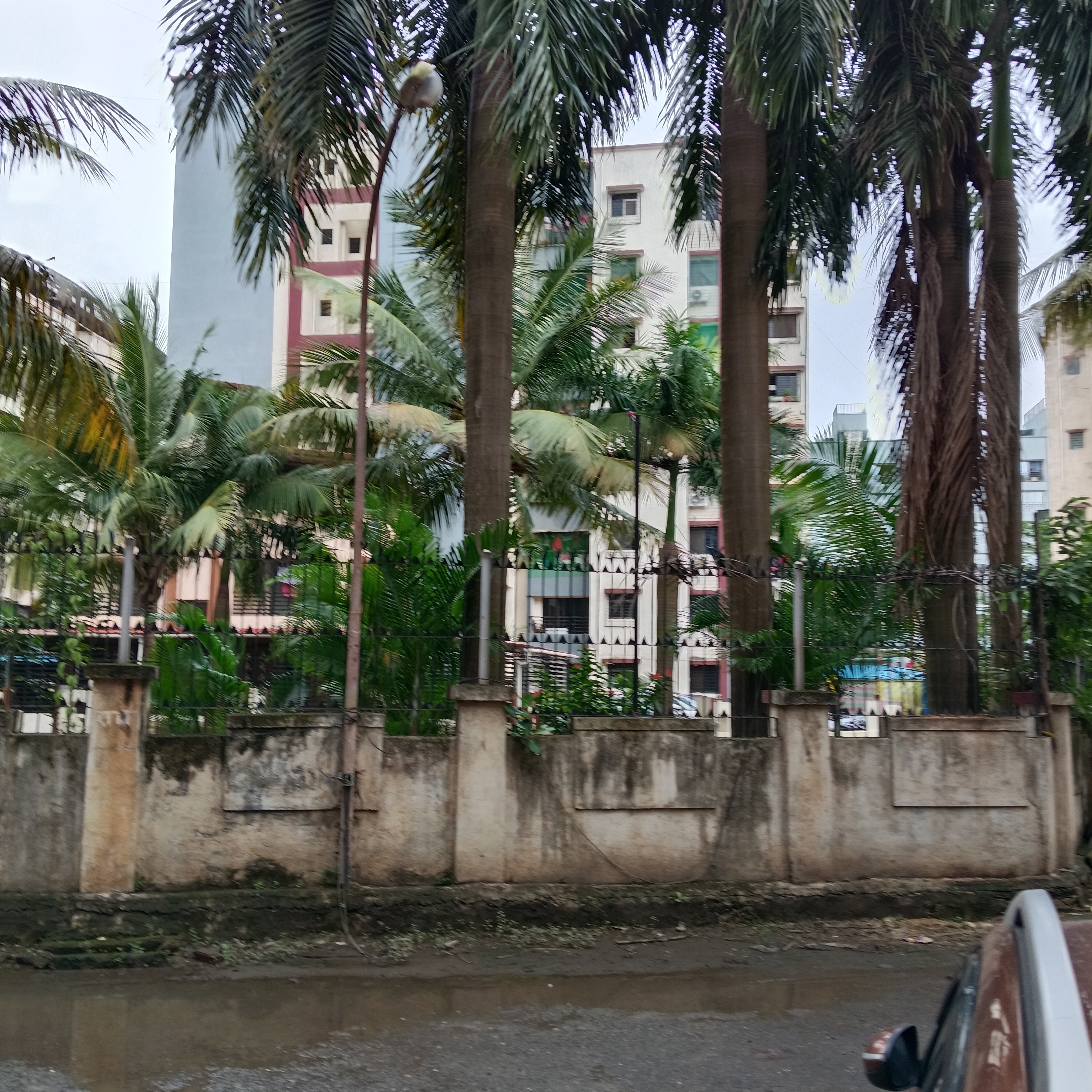 1 BHK Apartment For Rent in Pearl Apartment Virar