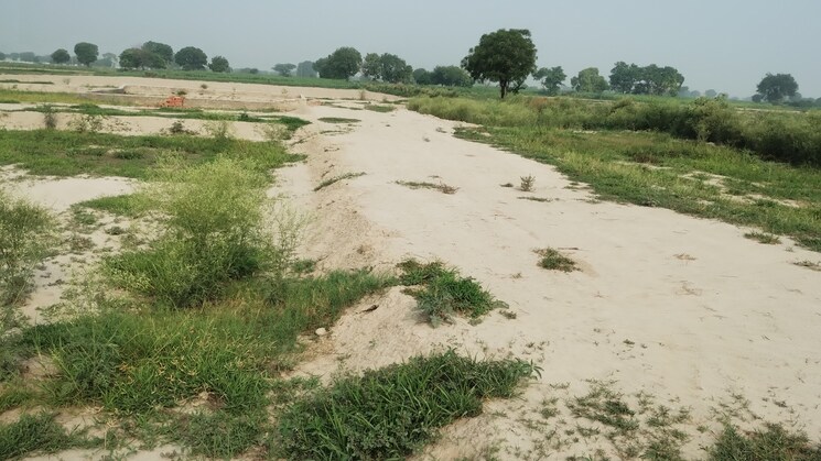 undefined, grain market palwal  750 Sq.Yd. Plot In Grain Market Palwal Palwal 9015071