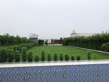  Plot – Nearby View at Sector 135 - for Sale