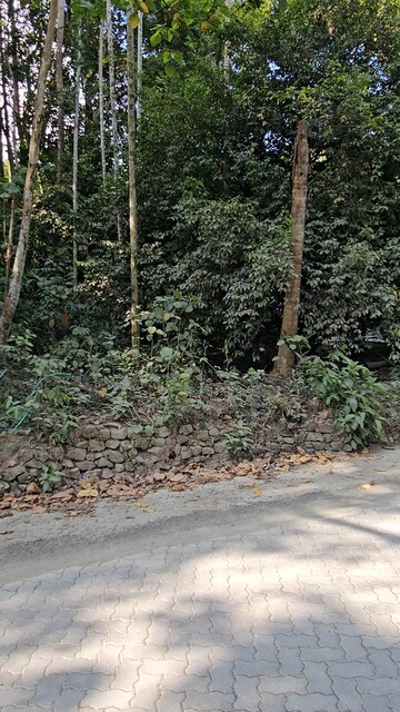  Plot For Sale in Kakkanad