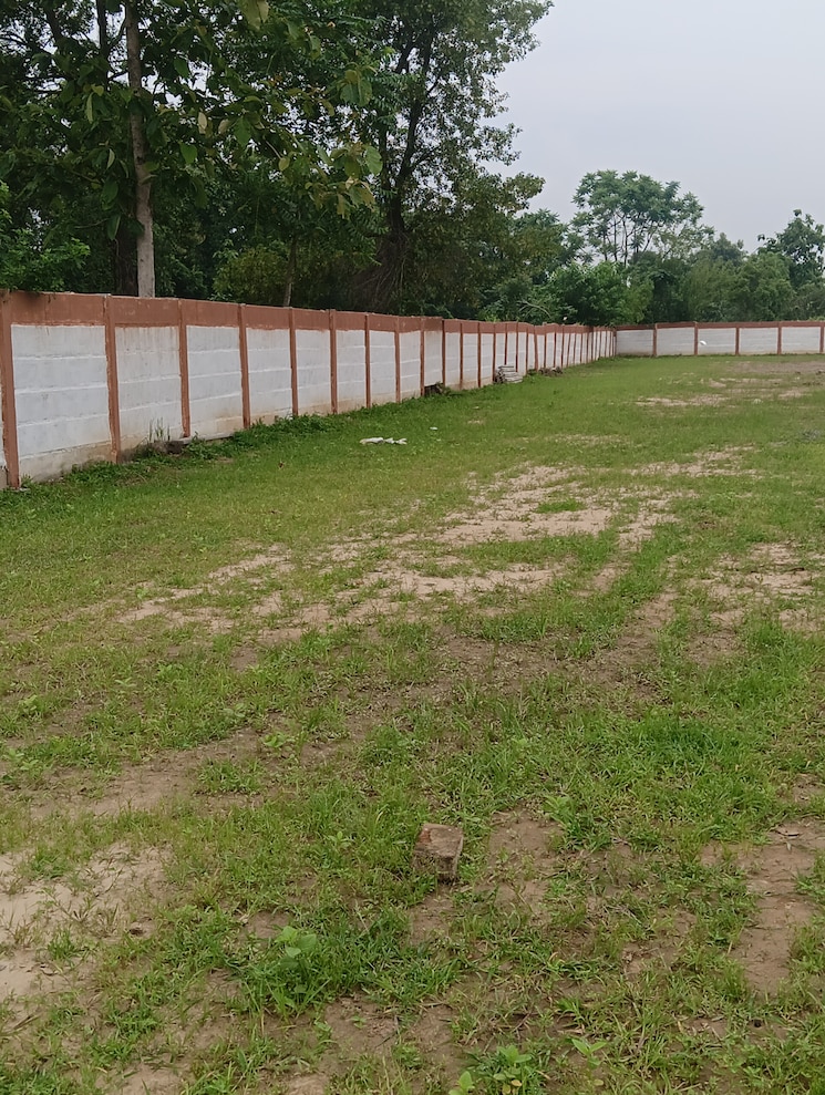 Garden, sitapur road  2000 Sq.Ft. Plot In Sitapur Road Lucknow 9015533