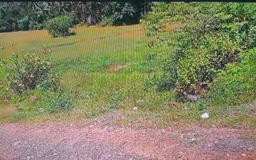 Plot For Sale in Kodibag