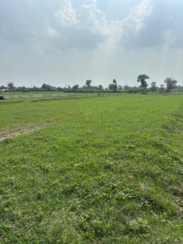  Plot For Sale in Dalelpur Village