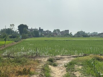 Plot Area in  Plot at Dalelpur Village – for Sale