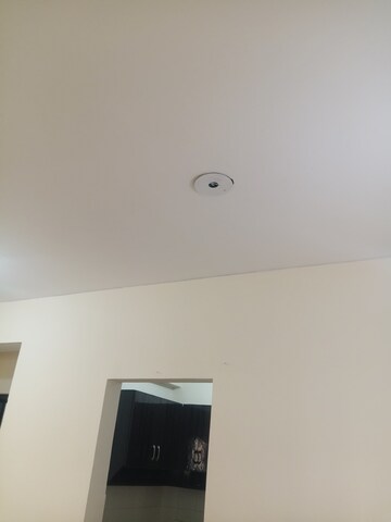  2 BHK Apartment at Aditya Urban Casa, Sector 78 – for Rent