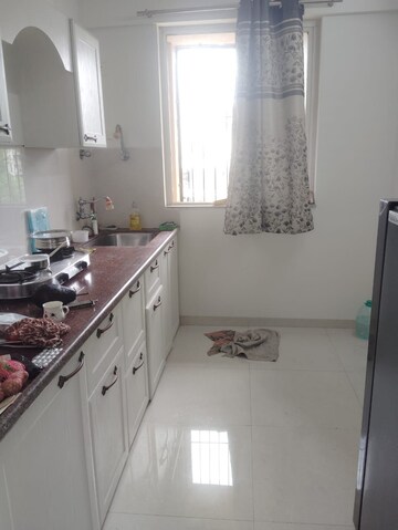 Kitchen in 1 BHK Apartment at Puranik Aldea Anexo, Baner – for Rent