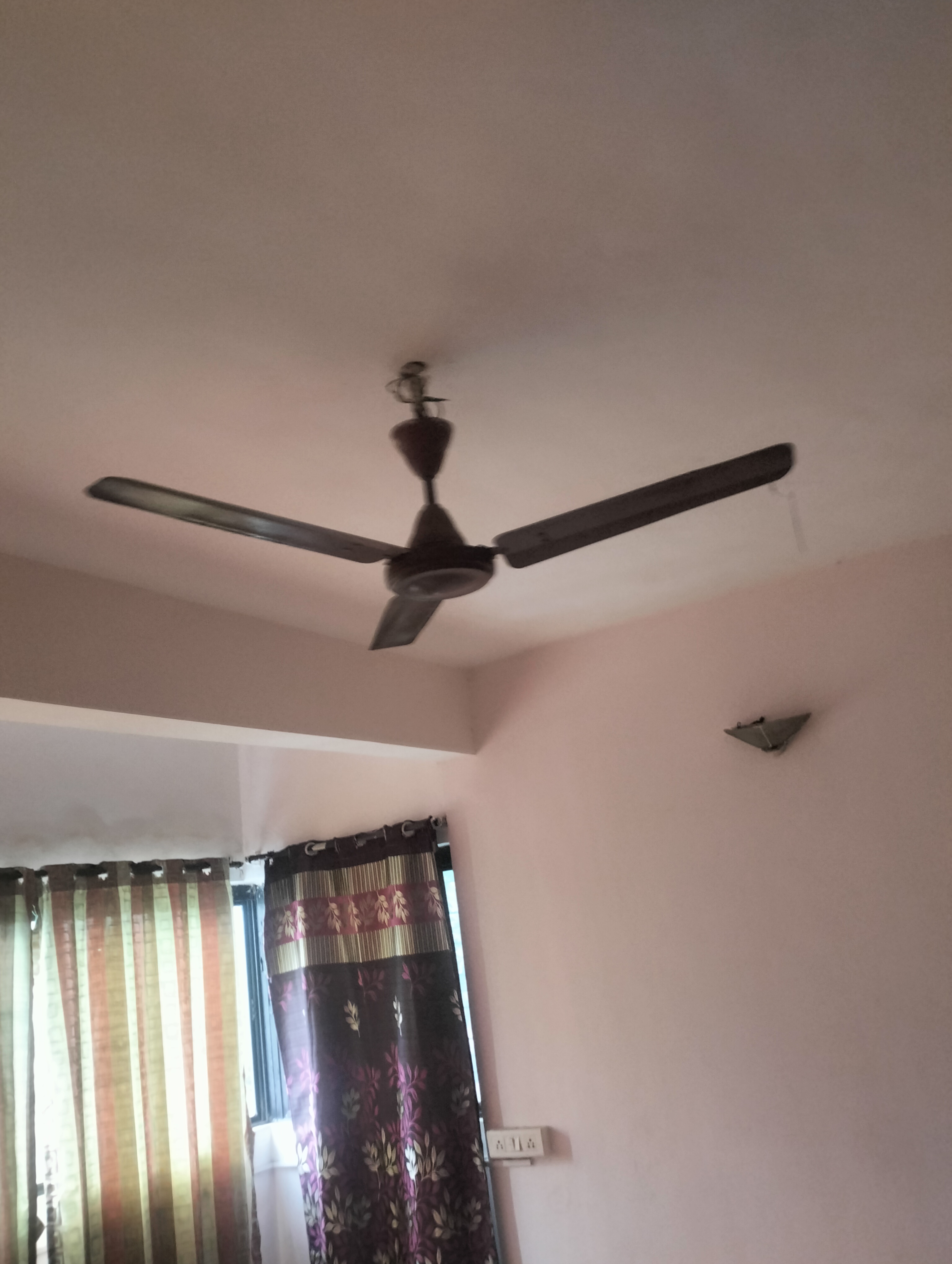 2 BHK Apartment For Rent in Sahyadri Park