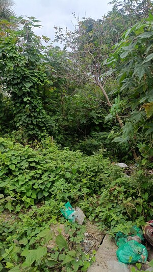  Land – Garden View at Bannerghatta Jigani Road - for Sale