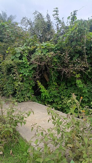 Plot Area in  Land at Bannerghatta Jigani Road – for Sale