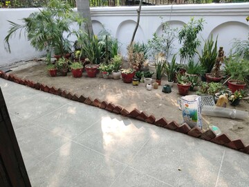 Balcony in 3 BHK Builder Floor at Sector 27 – for Rent