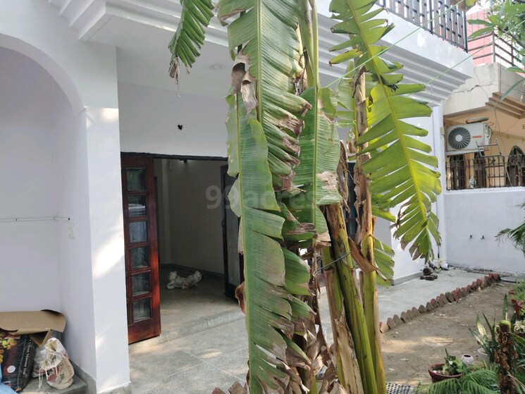 Exterior View, sector 27 3 Bedroom 250 Sq.Mt. Builder Floor In Sector 27 Noida 9016011