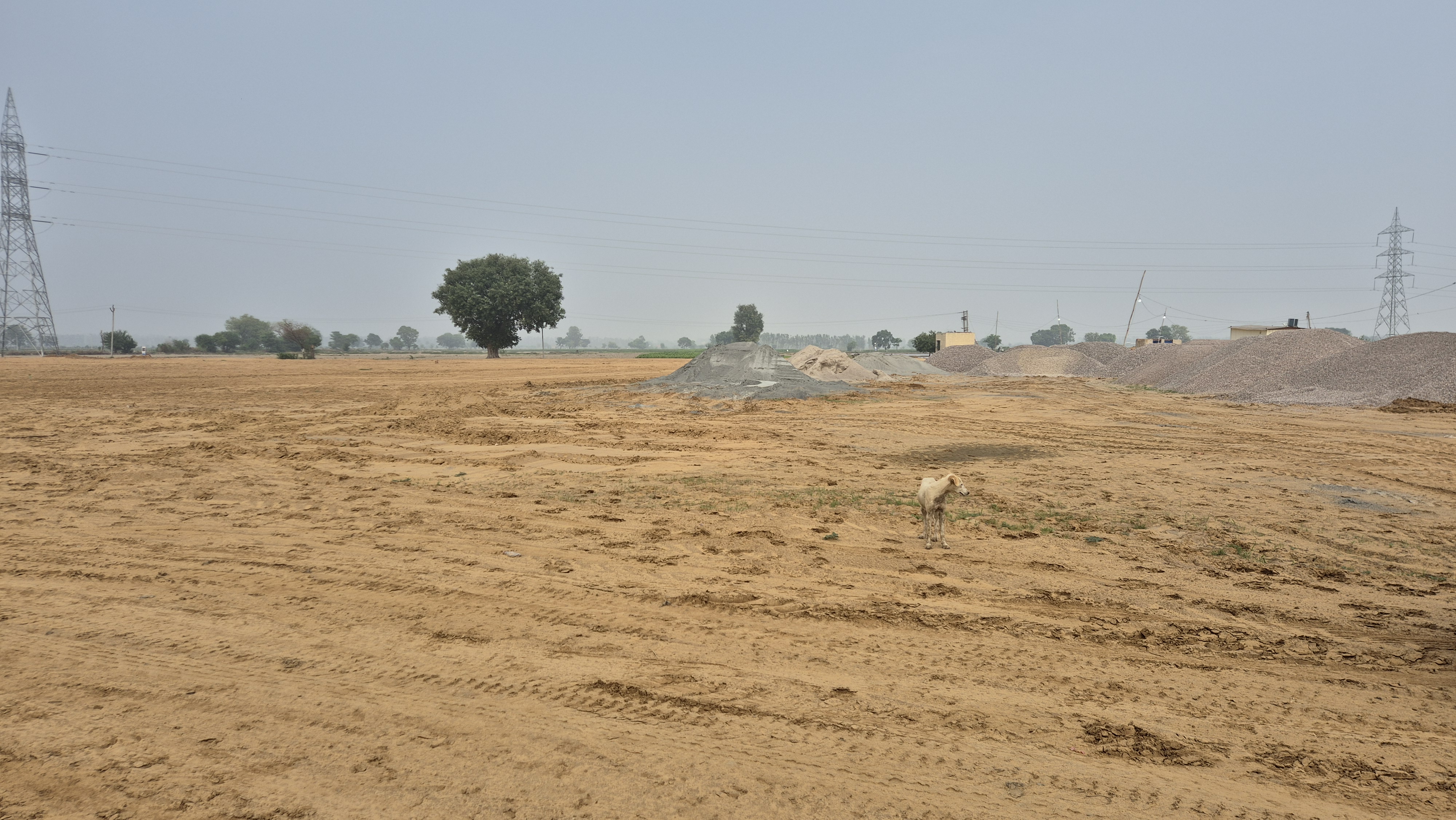 Plot For Sale in Ssar Kharkhoda Sec 7