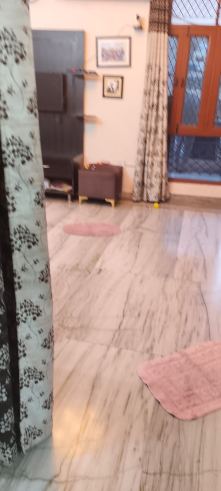 4 BHK Independent House For Sale in  Vaishali Sector 5