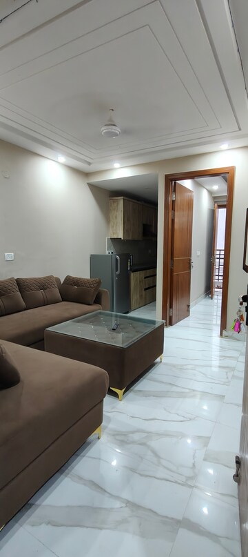 1 BHK Apartment For Rent in Chattarpur