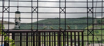 Balcony in 1 BHK Apartment at Om Shivshankar Towers, Kharghar Sector 3 – for Sale