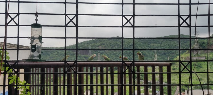 Balcony, om-shivshankar-towers 1 Bedroom 510 Sq.Ft. Apartment In Kharghar Sector 3 Navi Mumbai 9016818