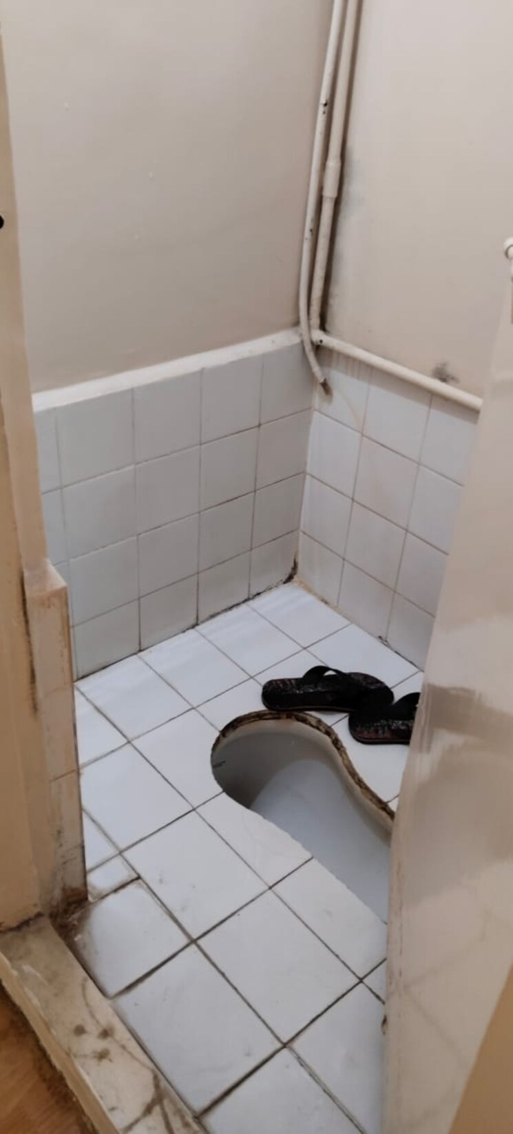 Bathroom, erandwane 1 Bedroom 550 Sq.Ft. Apartment In Erandwane Pune 9016918