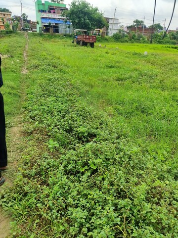 Plot Area in  Plot at Beldarichak – for Sale