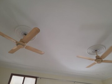  3.5 BHK Independent House at Delta Ii Greater Noida – for Rent