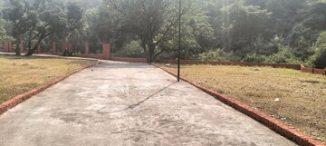 Plot Area in  Plot at Gujrara Mansingh – for Sale