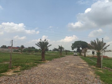 Plot Area in  Plot at Jattari – for Sale
