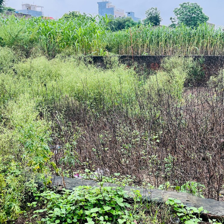 undefined, dadri  125 Sq.Yd. Plot In Dadri Greater Noida 9017511