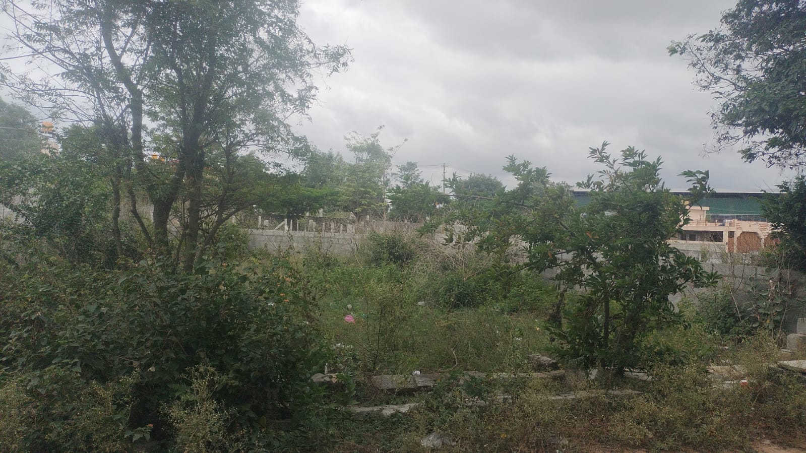 Plot For Sale in Nishchay